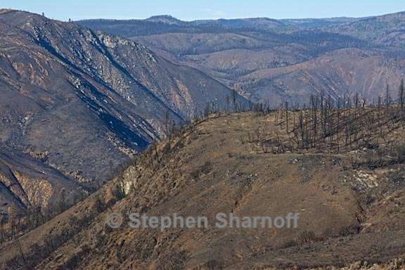 rim fire 3 graphic